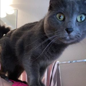 Meet your Posher, Roxanne